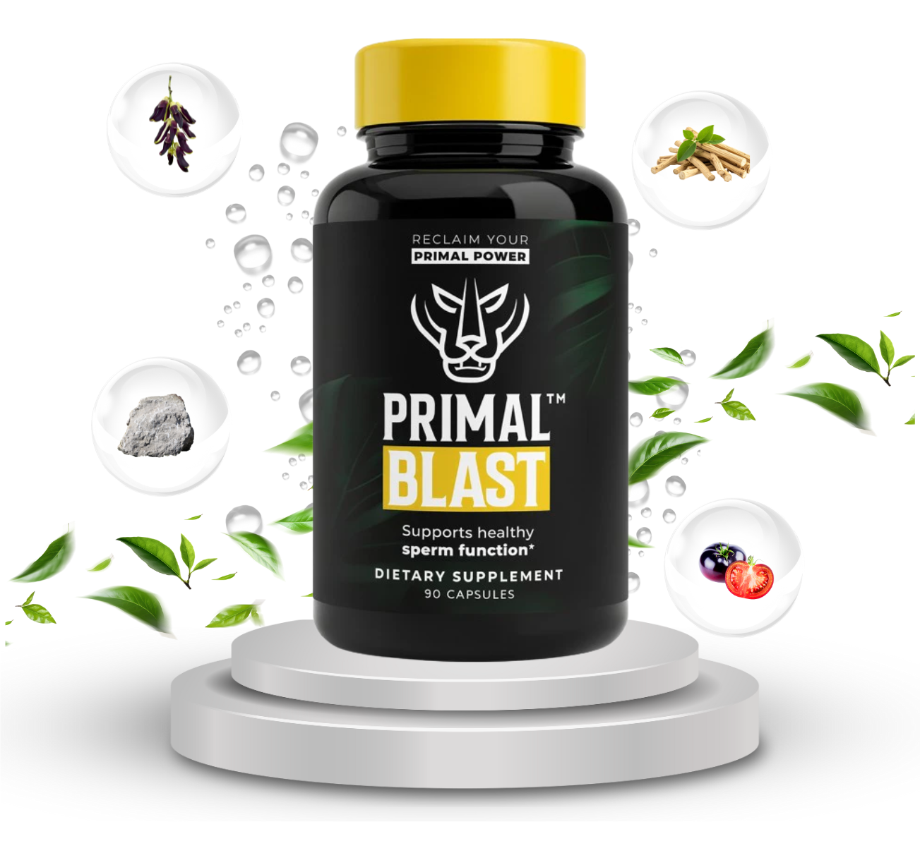 primal-blast-supplement-1